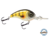 Dive Master Jr 8