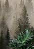 Misty Pine Tree Forest Landscape Wallpaper. Peel and Stick Wall Mural. Self Adhesive Nursery Wall Decor. #6237