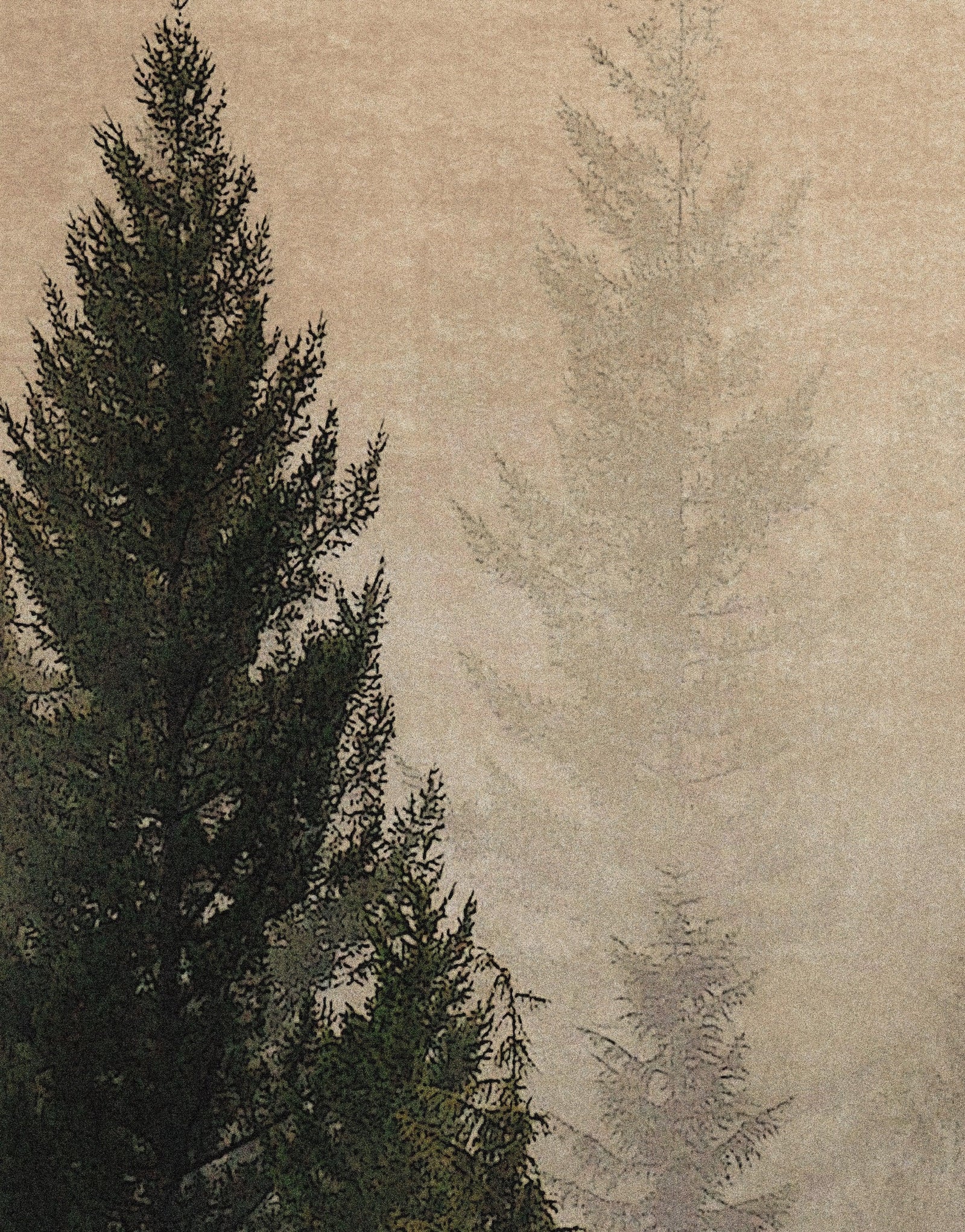 Misty Pine Tree Forest Landscape Wallpaper. Peel and Stick Wall Mural. Self Adhesive Nursery Wall Decor. #6237