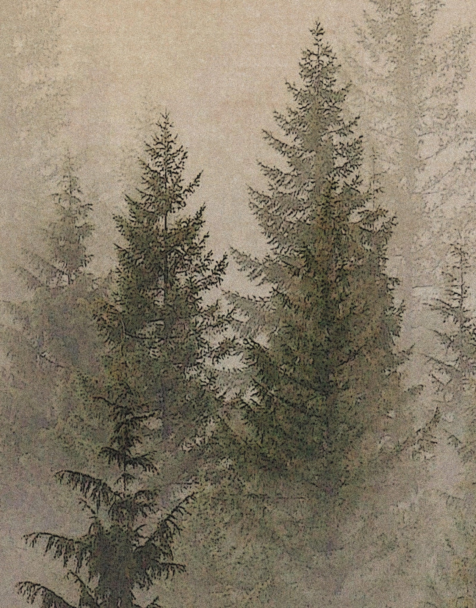 Misty Pine Tree Forest Landscape Wallpaper. Peel and Stick Wall Mural. Self Adhesive Nursery Wall Decor. #6237