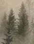 Misty Pine Tree Forest Landscape Wallpaper. Peel and Stick Wall Mural. Self Adhesive Nursery Wall Decor. #6237