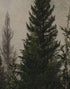 Misty Pine Tree Forest Landscape Wallpaper. Peel and Stick Wall Mural. Self Adhesive Nursery Wall Decor. #6237