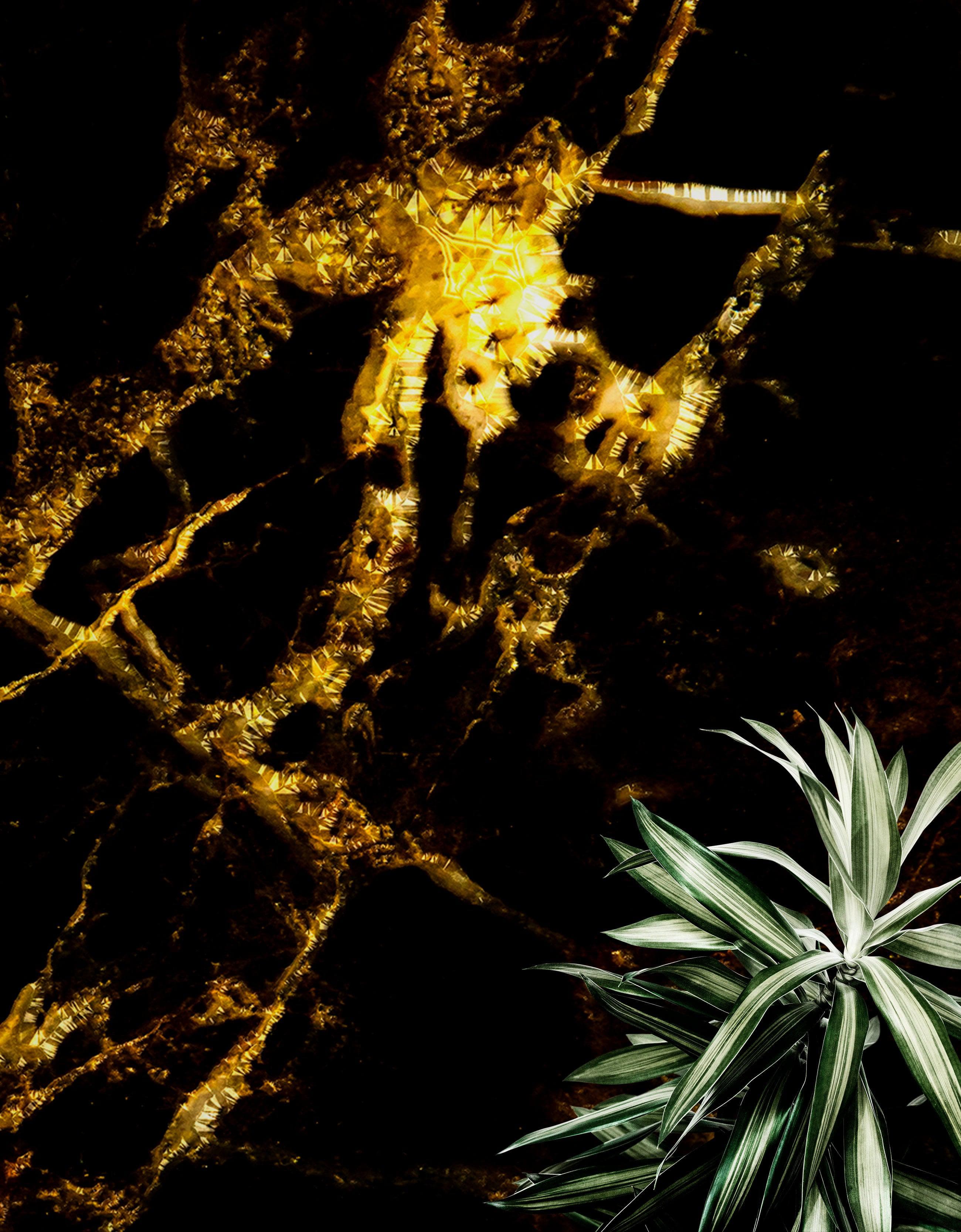 Black and Gold Abstract Marble Stone Peel and Stick Wall Mural. #6239