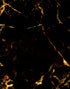 Black and Gold Abstract Marble Stone Peel and Stick Wall Mural. #6239