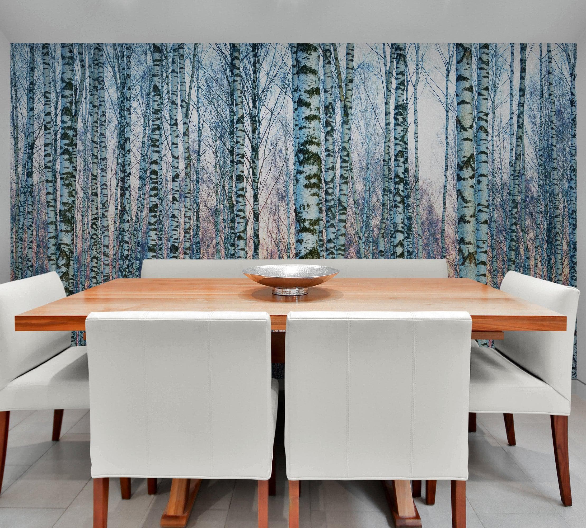 White Birch Tree Forest Wall Mural Wallpaper. Sunset Scenery. #6246