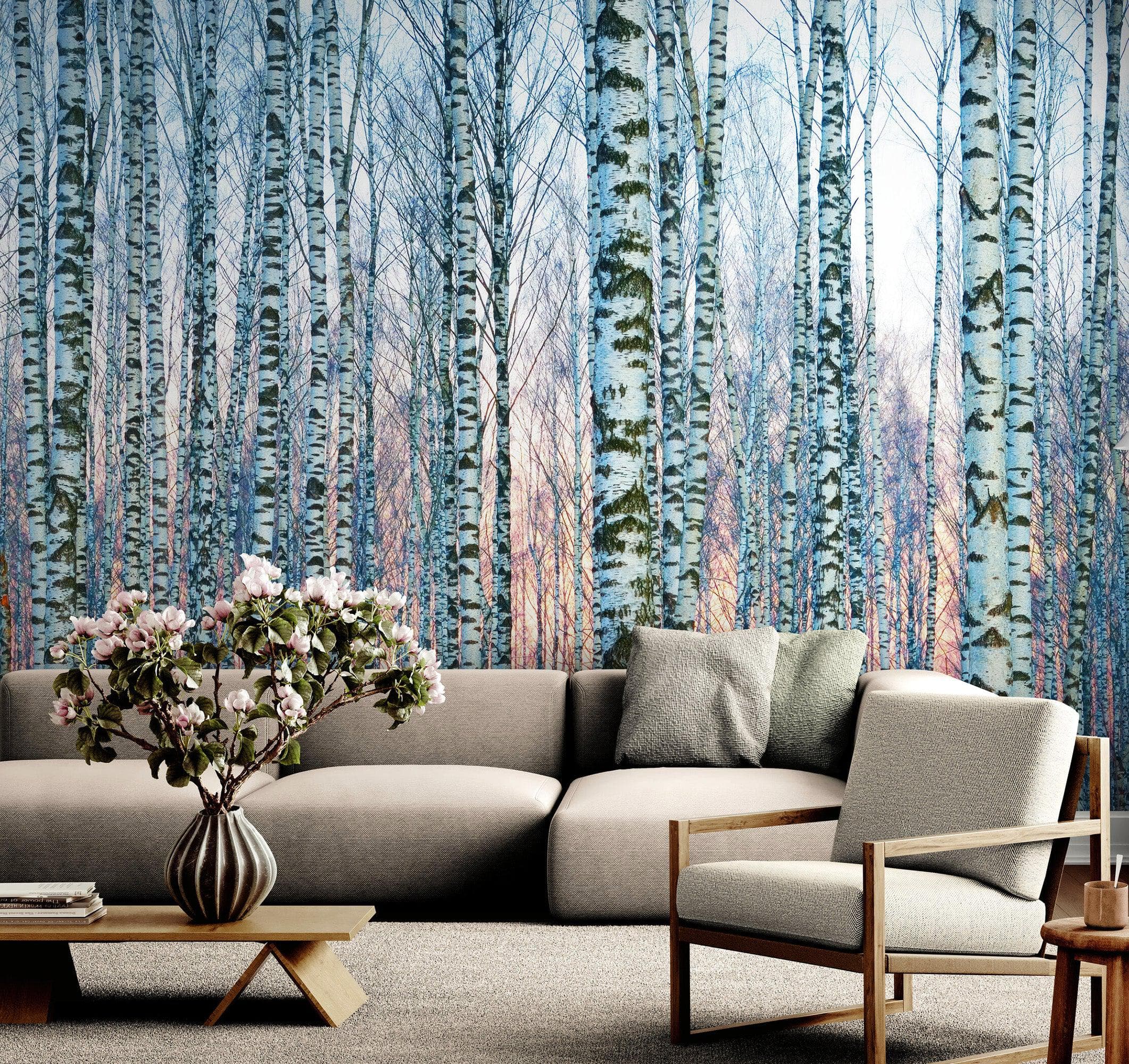 White Birch Tree Forest Wall Mural Wallpaper. Sunset Scenery. #6246