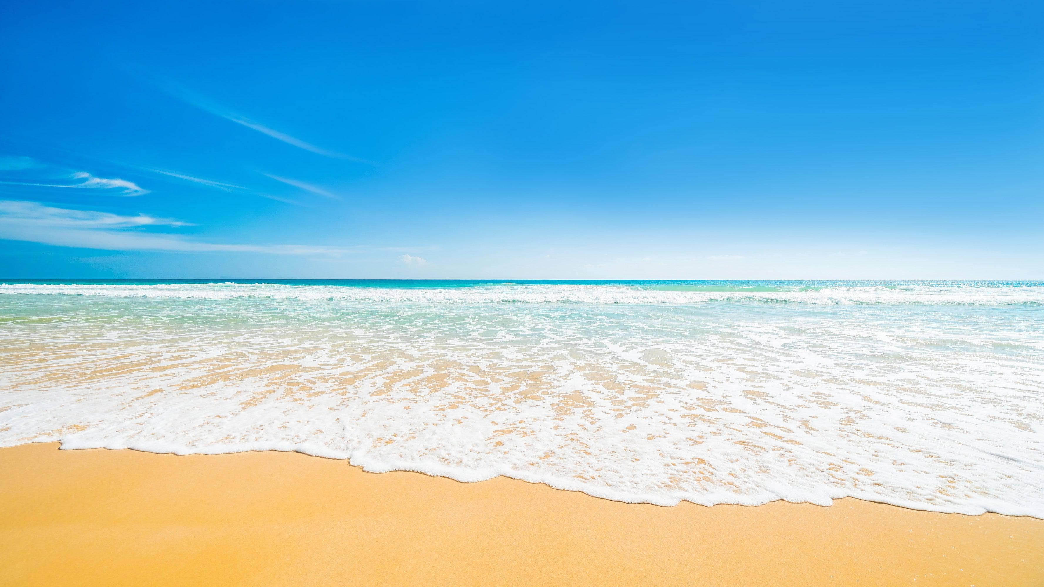 Bright Afternoon Blue Skies Ocean Beach Wave Wall Mural. #6272