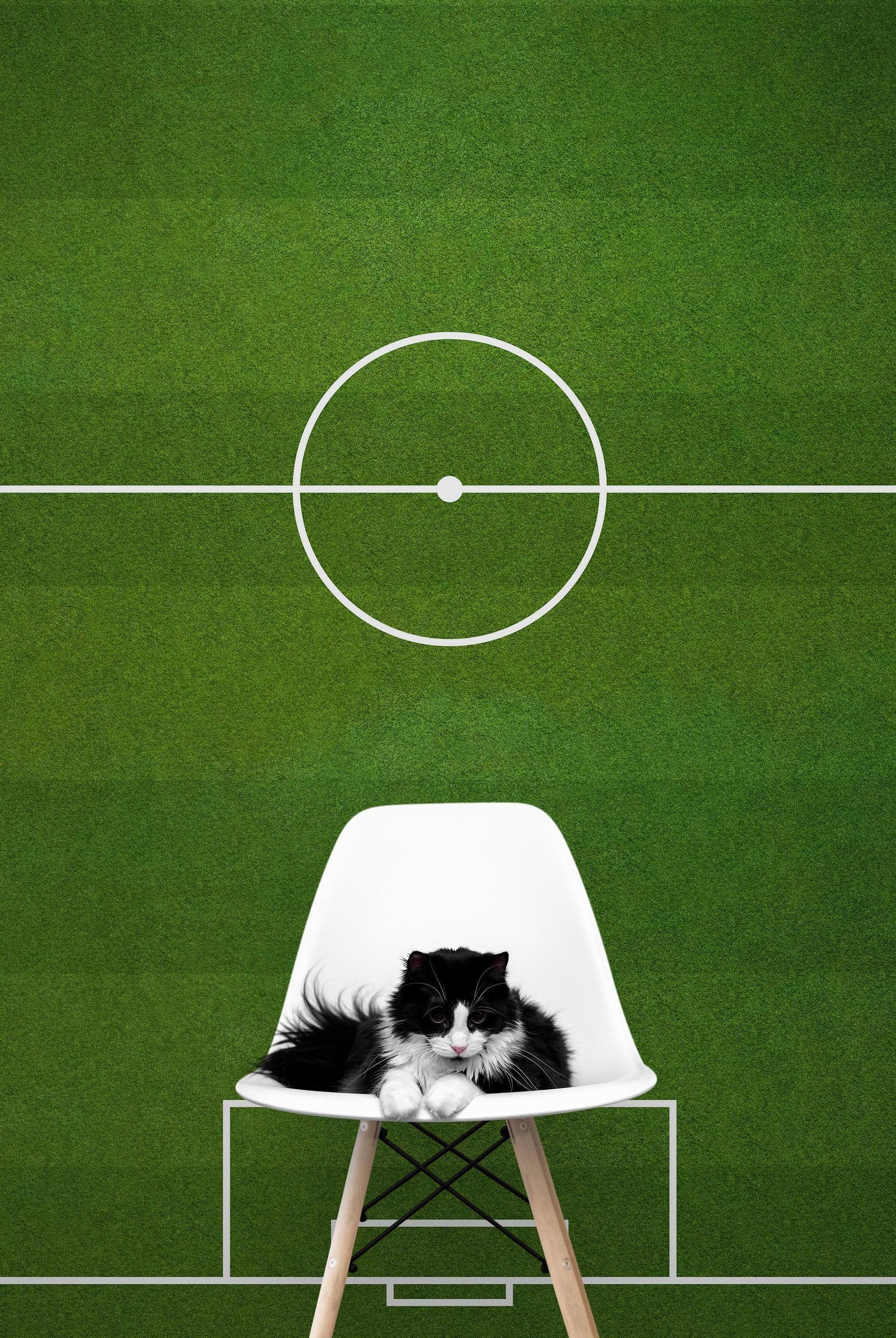 Soccer Field Wallpaper. Football Pitch Wallpaper. Peel and Stick Wall Mural. Soccer Stadium Wallpaper. #6465