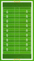 Football Field Wall Mural. 100 yard field with end zone large wall mural. #6276