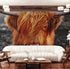Highland Cow Cattle Head Wall Mural - Farmhouse Charm for Your Home. #6279