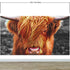 Highland Cow Cattle Head Wall Mural - Farmhouse Charm for Your Home. #6279