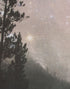 Foggy Misty Forest Trees Over Mountain Under a Starry Night Wall Mural. #6304