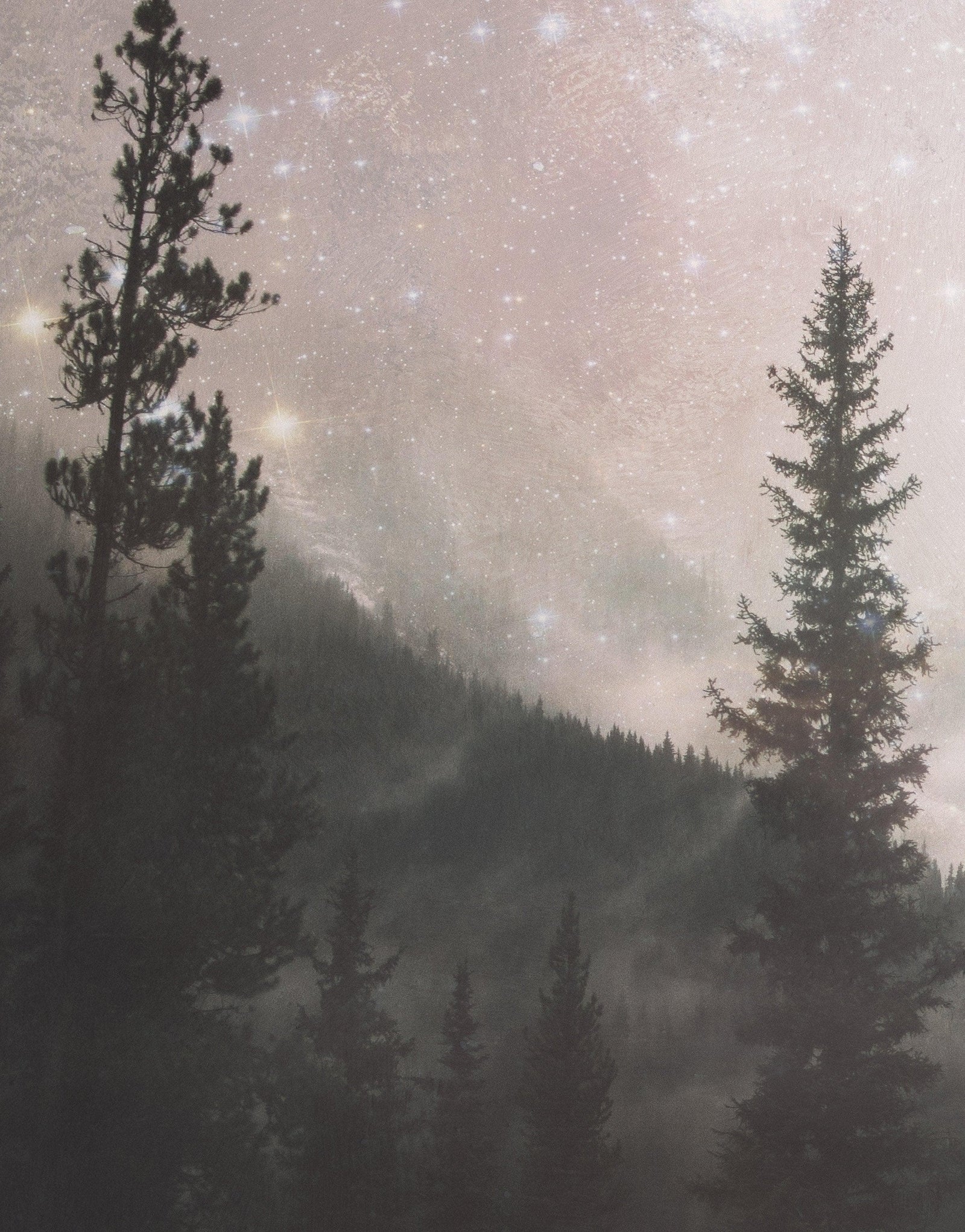 Foggy Misty Forest Trees Over Mountain Under a Starry Night Wall Mural. #6304