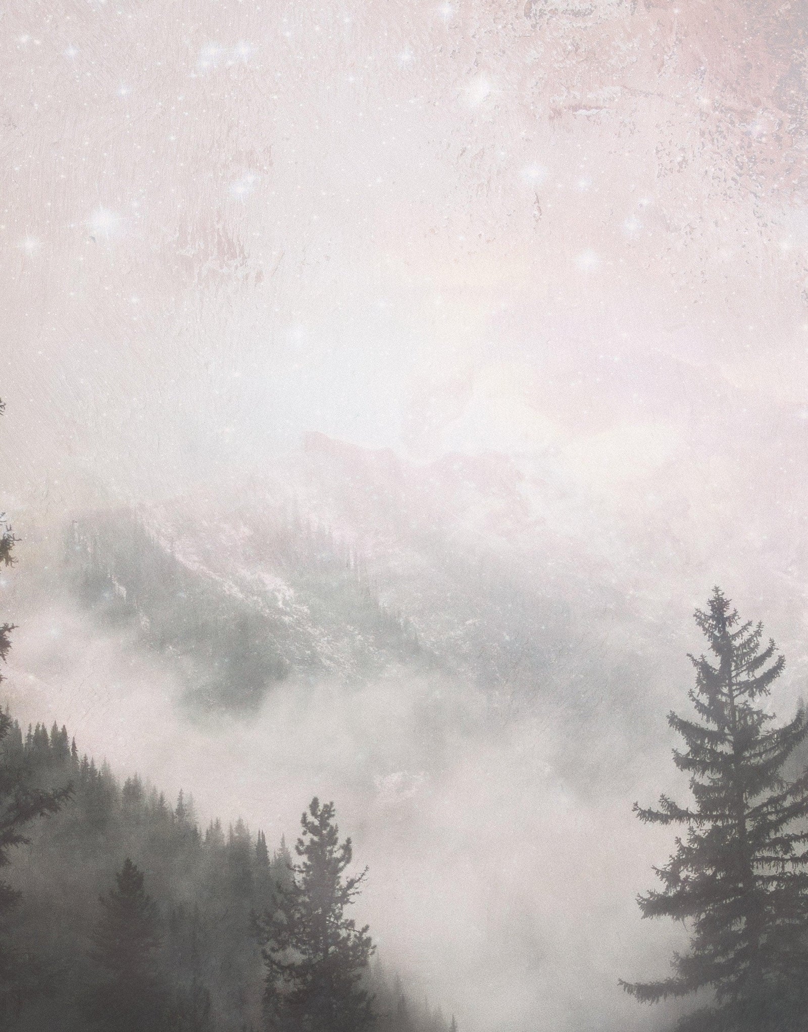 Foggy Misty Forest Trees Over Mountain Under a Starry Night Wall Mural. #6304
