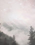 Foggy Misty Forest Trees Over Mountain Under a Starry Night Wall Mural. #6304