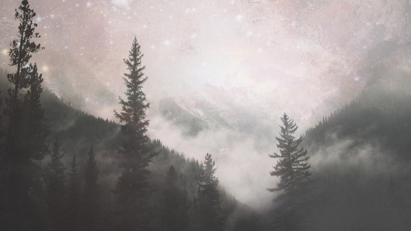Foggy Misty Forest Trees Over Mountain Under a Starry Night Wall Mural. #6304