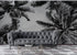 Black and White Tropical Palm Tree Mural. Vintage Summer Vibe. #6315