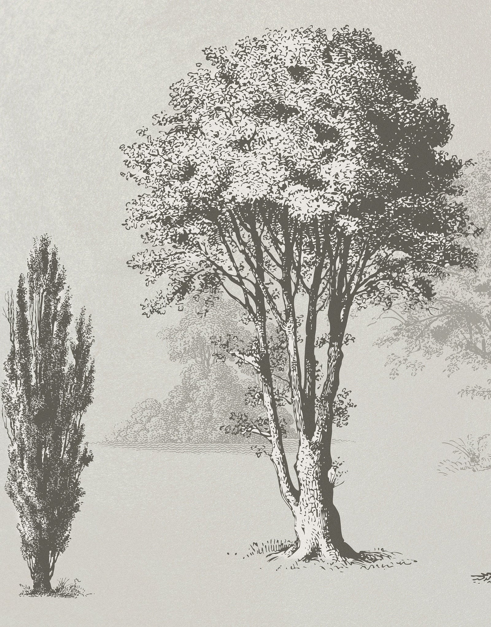 Vintage Forest Trees Wall Mural. Monochrome Abstract Sketched Art Design. Peel and Stick Wallpaper | Removable Wall Mural. #6329