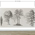 Vintage Forest Trees Wall Mural. Monochrome Abstract Sketched Art Design. Peel and Stick Wallpaper | Removable Wall Mural. #6329