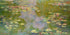 Monet Painting, Water Lilies (From 1919). Peel and Stick Wallpaper Wall Mural. #6333