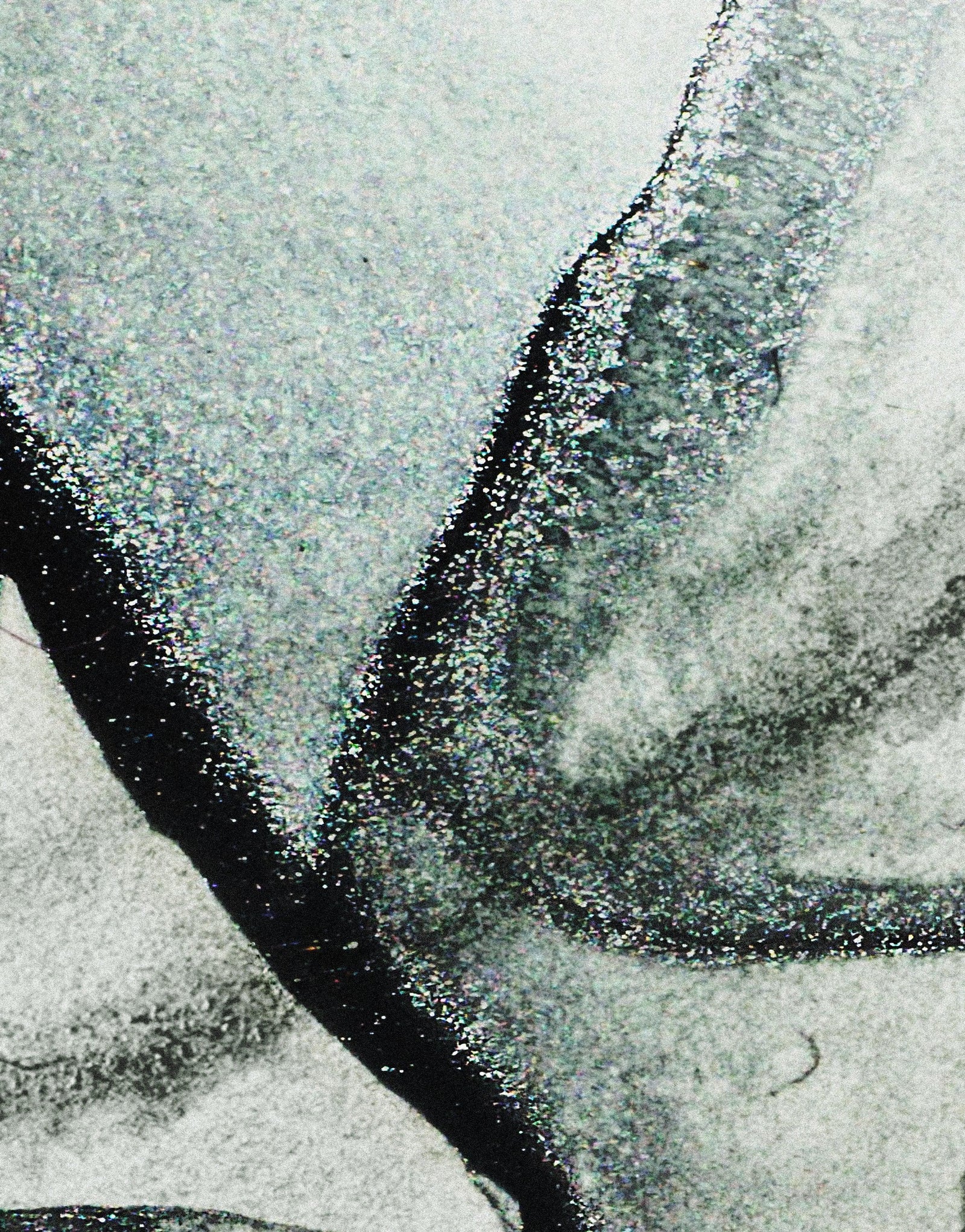 Abstract Black and White Fluid Alcohol Ink Painting Wall Mural. Peel and Stick Wallpaper. #6341