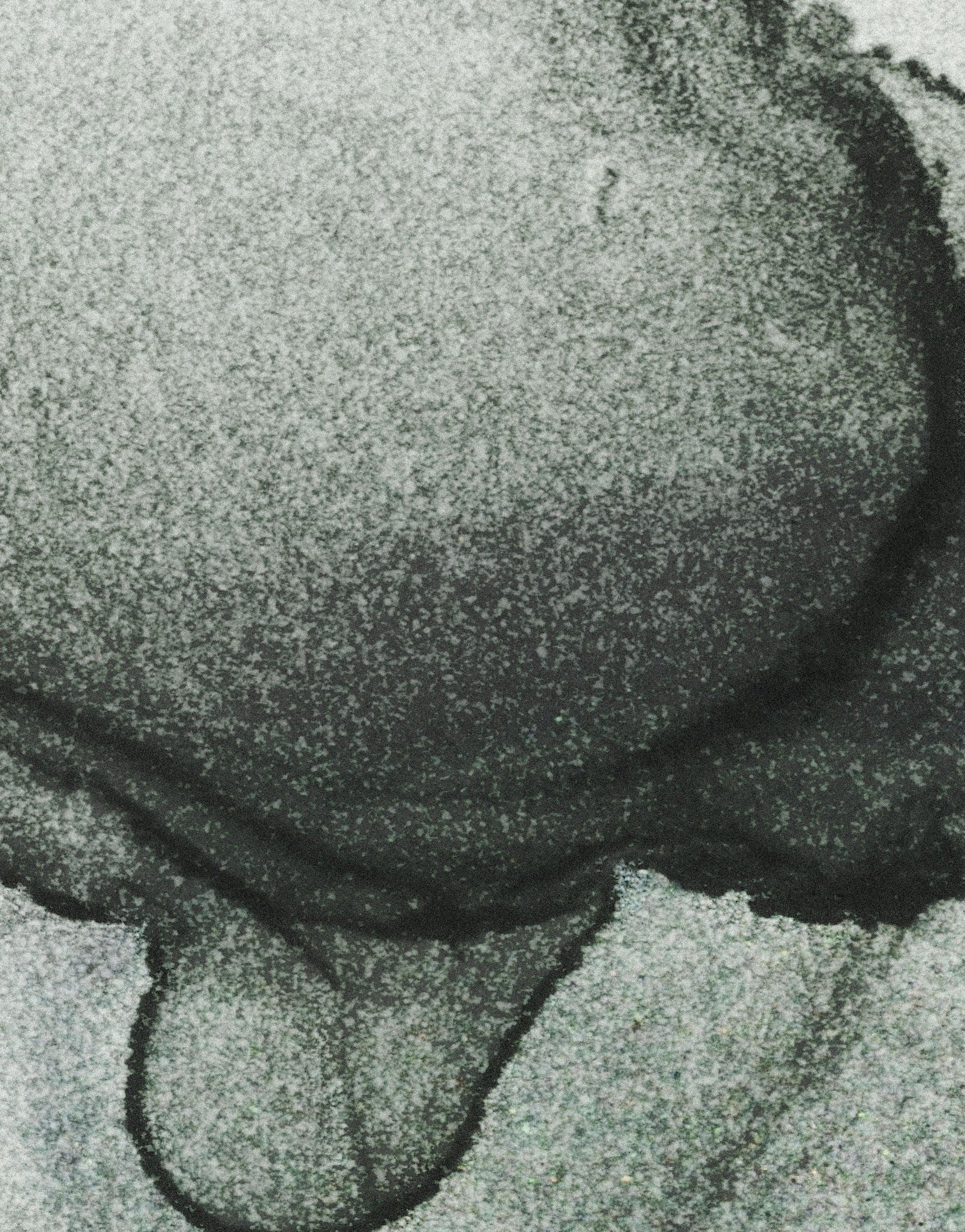 Abstract Black and White Fluid Alcohol Ink Painting Wall Mural. Peel and Stick Wallpaper. #6341