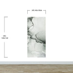 Abstract Black and White Fluid Alcohol Ink Painting Wall Mural. Peel and Stick Wallpaper. #6341