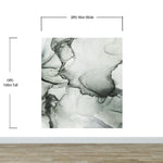 Abstract Black and White Fluid Alcohol Ink Painting Wall Mural. Peel and Stick Wallpaper. #6341