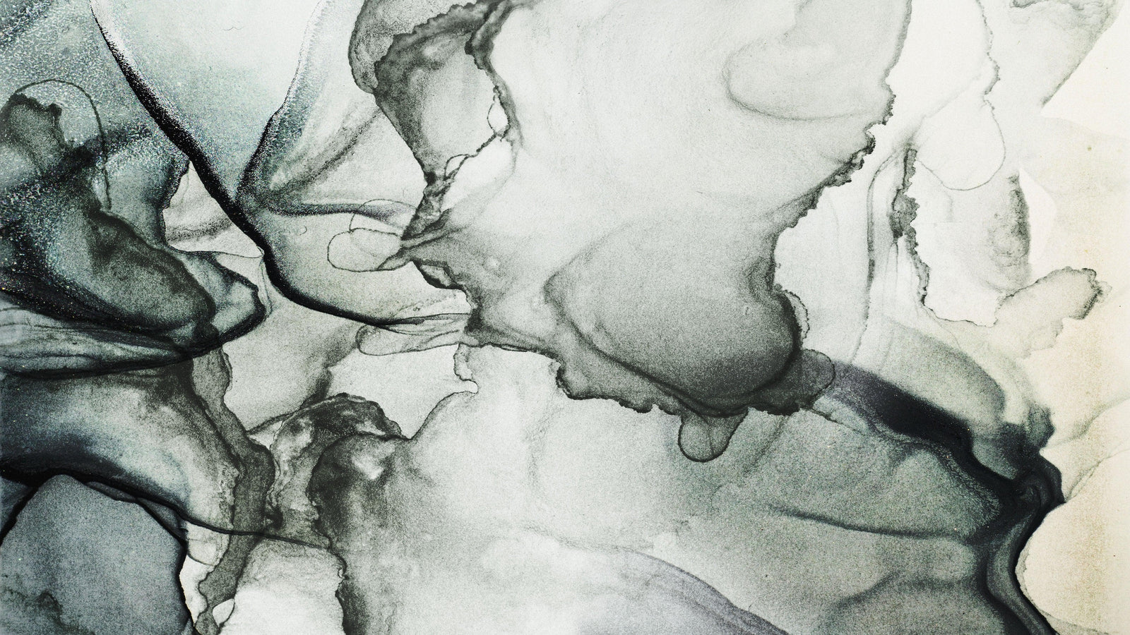 Abstract Black and White Fluid Alcohol Ink Painting Wall Mural. Peel and Stick Wallpaper. #6341