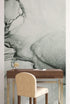 Abstract Black and White Fluid Alcohol Ink Painting Wall Mural. Peel and Stick Wallpaper. #6341
