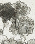 Forest Trees Wallpaper Peel and Stick Mural, Grove of Trees Drawing by Camille Pissarro. #6344