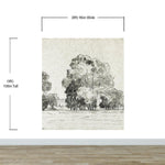Forest Trees Wallpaper Peel and Stick Mural, Grove of Trees Drawing by Camille Pissarro. #6344