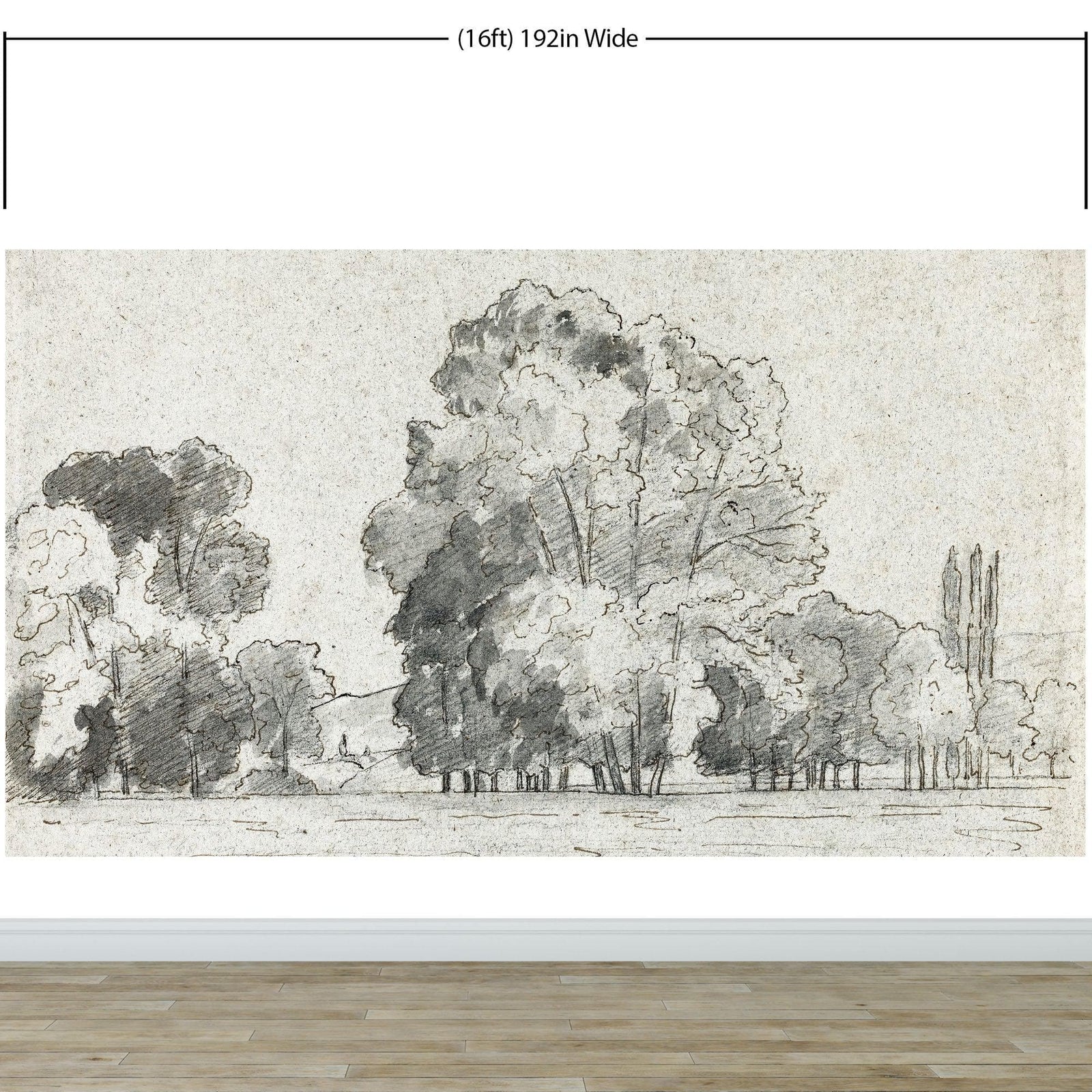 Forest Trees Wallpaper Peel and Stick Mural, Grove of Trees Drawing by Camille Pissarro. #6344
