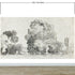 Forest Trees Wallpaper Peel and Stick Mural, Grove of Trees Drawing by Camille Pissarro. #6344