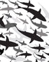Shark Frenzy Underwater Wall Mural. Peel and Stick Wallpaper. Black and White Shark Silhouettes  #6347