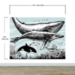 Whale, Dolphin, Killer Whale Wall Mural. Underwater Sea Life Drawing Design. Peel and Stick Wall Mural. #6354