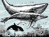 Whale, Dolphin, Killer Whale Wall Mural. Underwater Sea Life Drawing Design. Peel and Stick Wall Mural. #6354