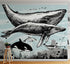 Whale, Dolphin, Killer Whale Wall Mural. Underwater Sea Life Drawing Design. Peel and Stick Wall Mural. #6354