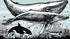 Whale, Dolphin, Killer Whale Wall Mural. Underwater Sea Life Drawing Design. Peel and Stick Wall Mural. #6354