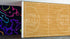 Basketball Court Hardwood Pattern Wall Mural. #6361