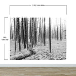 Black and White Forest Landscape Wall Mural. Peel and Stick Wallpaper. #6365