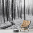 Black and White Forest Landscape Wall Mural. Peel and Stick Wallpaper. #6365