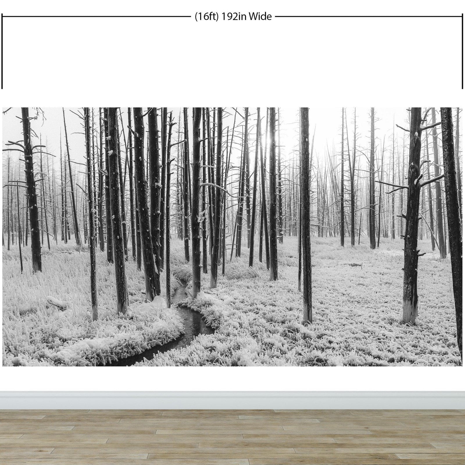Black and White Forest Landscape Wall Mural. Peel and Stick Wallpaper. #6365