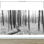 Black and White Forest Landscape Wall Mural. Peel and Stick Wallpaper. #6365