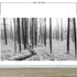 Black and White Forest Landscape Wall Mural. Peel and Stick Wallpaper. #6365