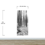Black and White Forest Landscape Wall Mural. Peel and Stick Wallpaper. #6365