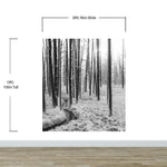 Black and White Forest Landscape Wall Mural. Peel and Stick Wallpaper. #6365