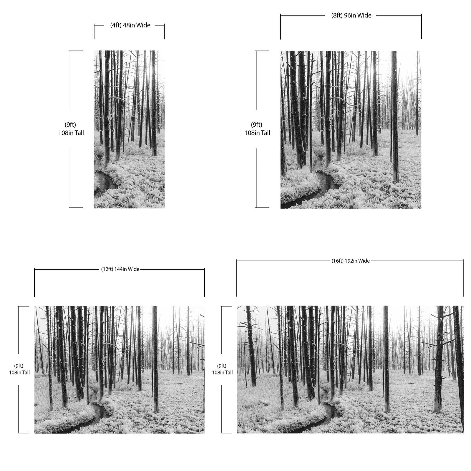 Black and White Forest Landscape Wall Mural. Peel and Stick Wallpaper. #6365