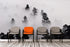 Foggy Forest Wallpaper Black and White Wall Mural. #6368
