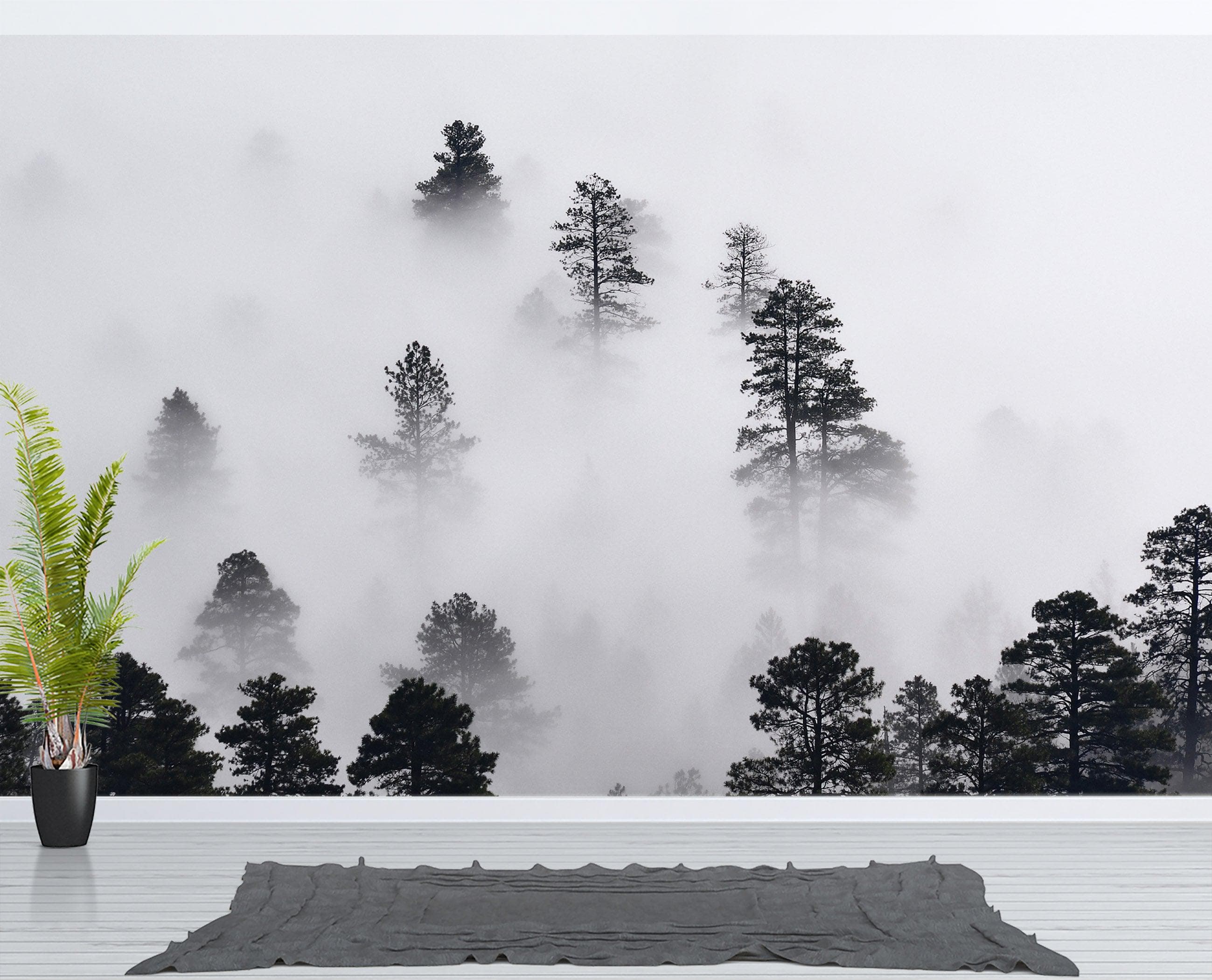 Foggy Forest Wallpaper Black and White Wall Mural. #6368